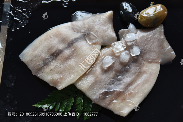 魷魚