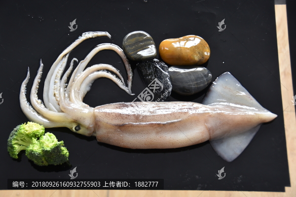 鮮魷魚
