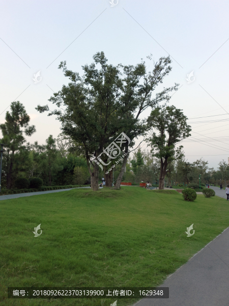 杉灣公園