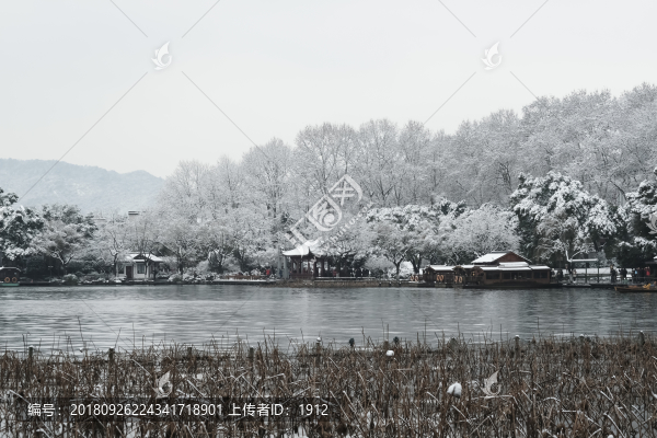 江南雪