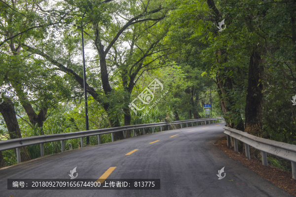 道路站牌