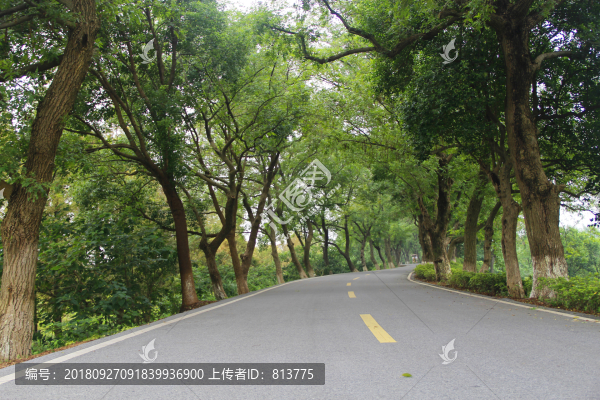 美景林道