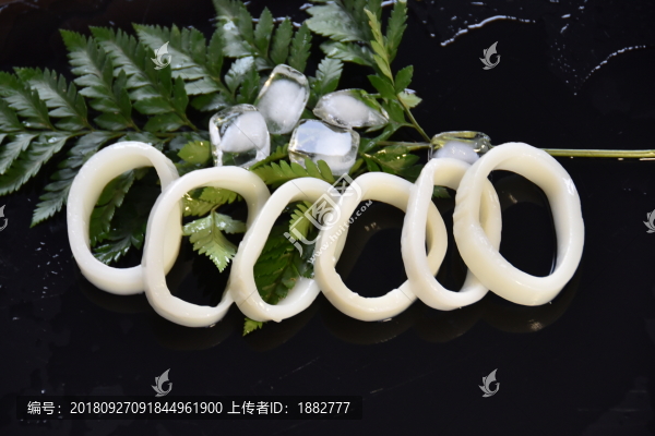 魷魚(yú)圈