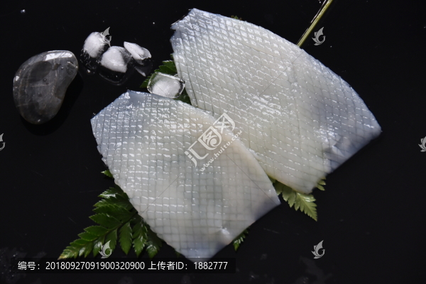 魷魚