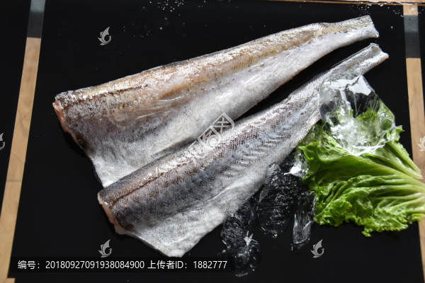 鱈魚