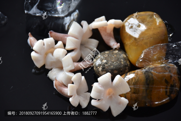 魷魚花