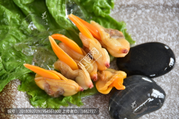 貝肉