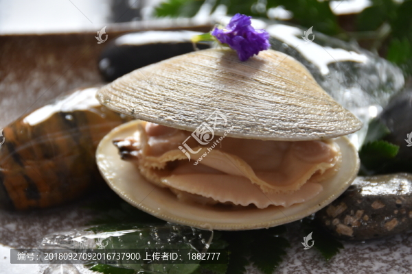 貝