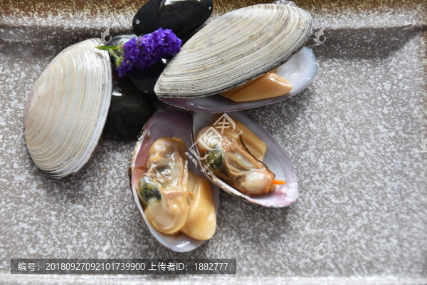 貝