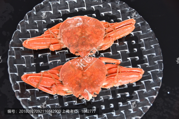 鱈蟹