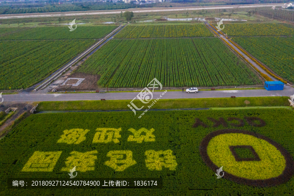 錢倉葵園航拍場景