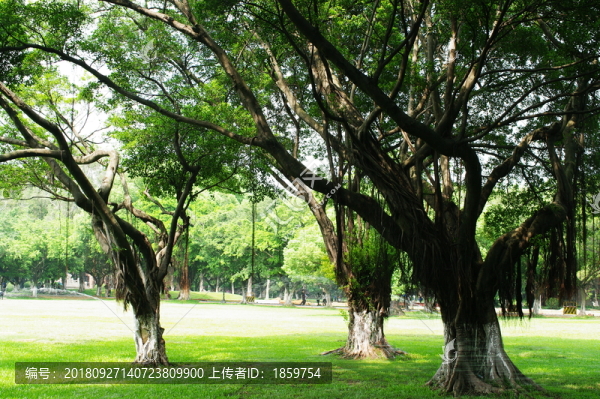 中山大學(xué)