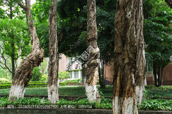 中山大學(xué)