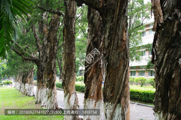 中山大學(xué)