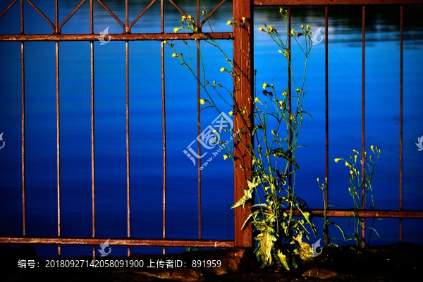 貝爾加湖風光