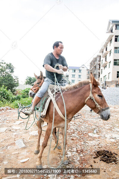 運(yùn)貨馬隊(duì)
