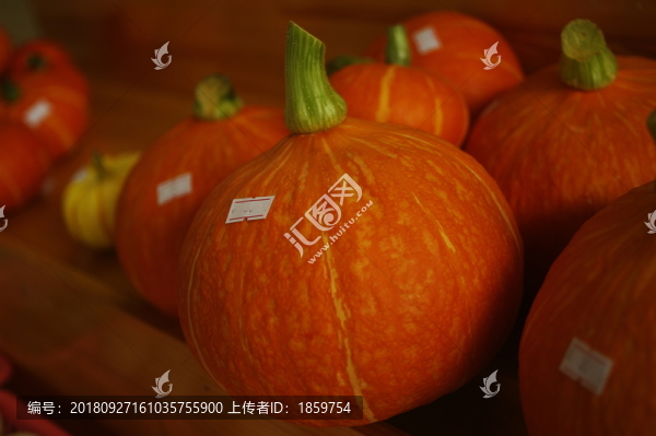 南瓜