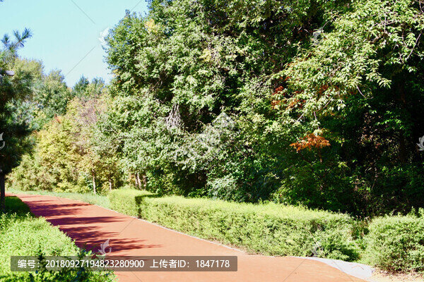 路