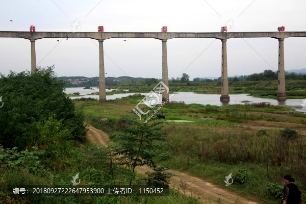 河邊渡槽下飛鳥戲水牛