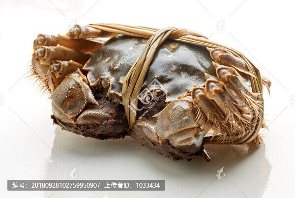 河蟹