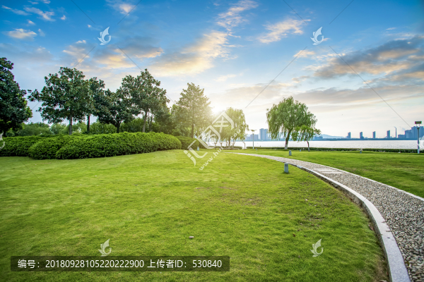 城市公園草地樹林