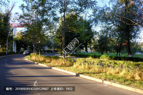 林蔭道