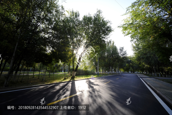 綠色公路