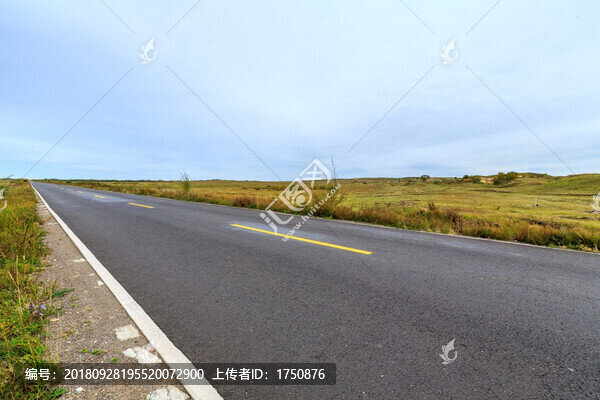 草原公路