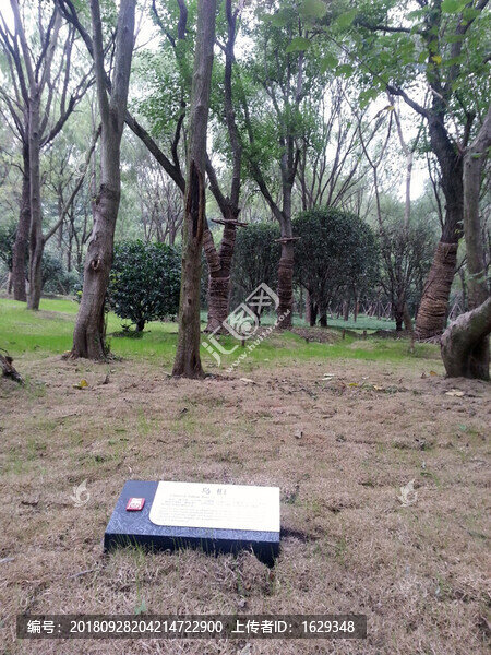 樹銘牌