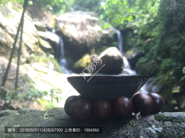 石龜品茶