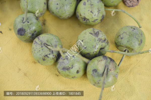 文玩核桃