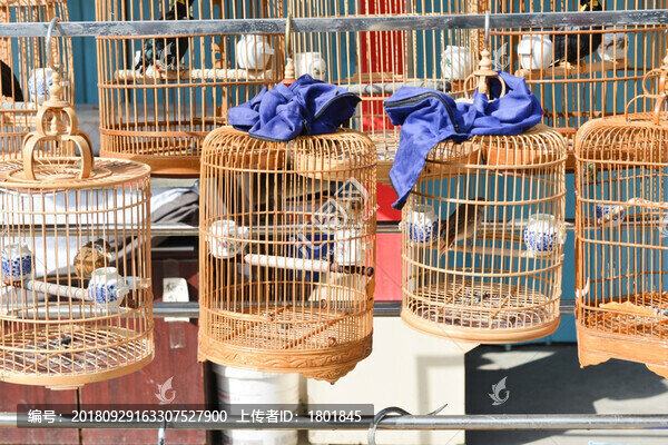 鳥籠