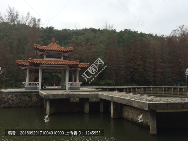 仙湖植物園