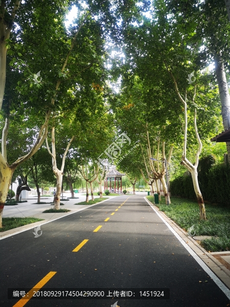 道路