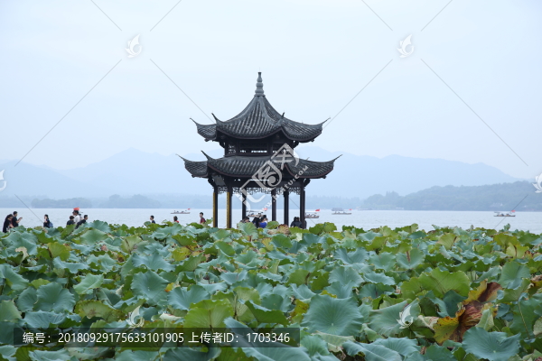 集賢亭