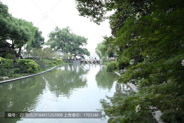 池塘