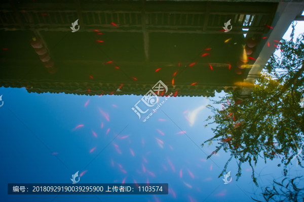西塘古鎮(zhèn)風光00