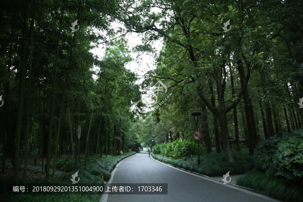 林蔭小路