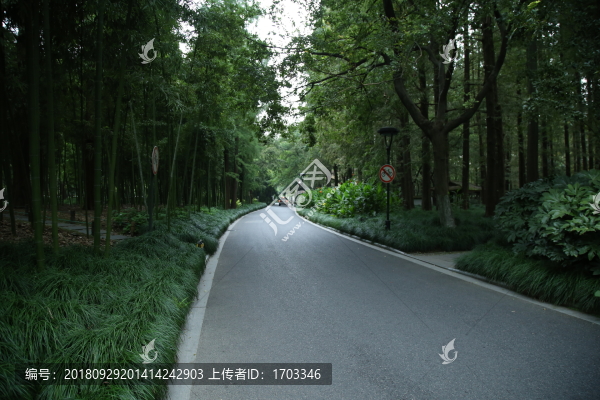 林蔭路