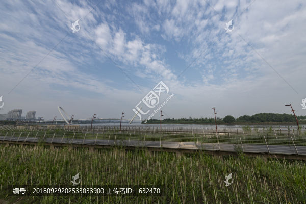 南京臨江公園風(fēng)光