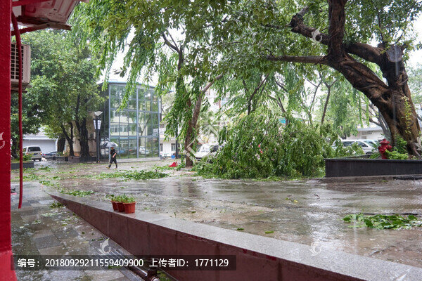 臺(tái)風(fēng)之后