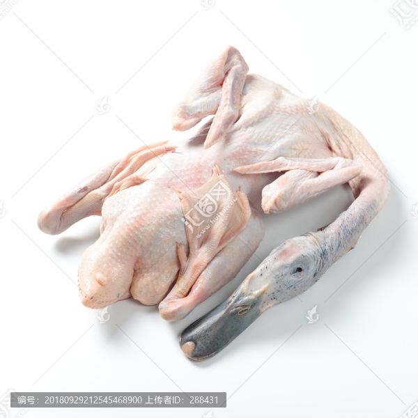 鴨肉
