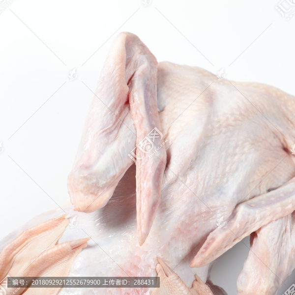 鴨肉