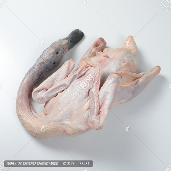 鴨肉