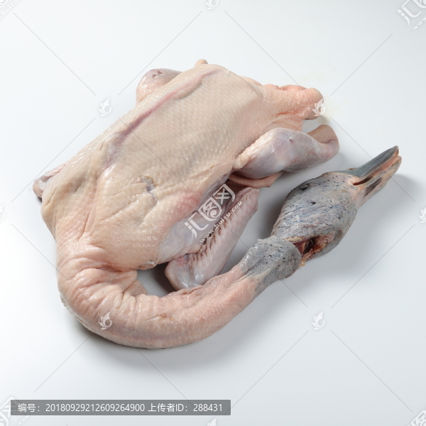 鴨