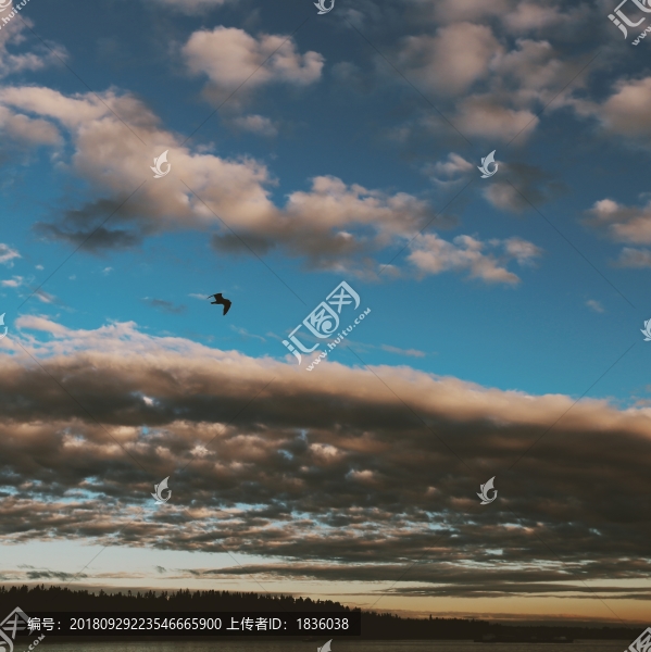 溫哥華自然風(fēng)光