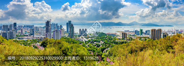 深圳灣全景