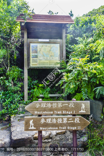 香港西貢郊野公園麥理浩徑