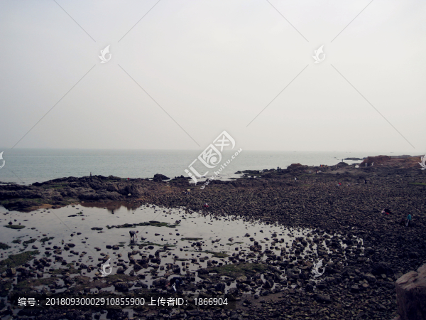 青島海濱風光