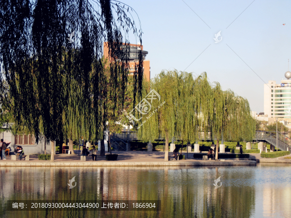 湖邊美景